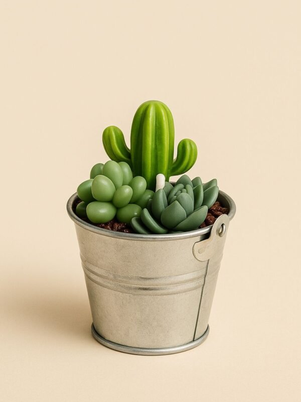 vela aromática suculenta