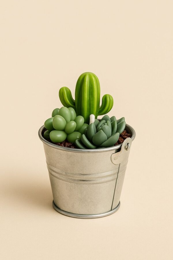 vela aromática suculenta vela aromática suculenta