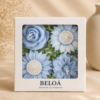 caja jardin azules