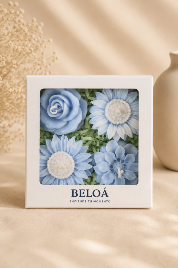 caja jardin azules