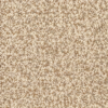 color arena