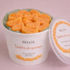waxmelts gajitos de naranja beloa pequeño waxmelts gajitos de naranja beloa pequeño