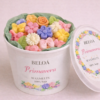 waxmelts primavera beloa pequeños